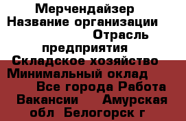 Мерчендайзер › Название организации ­ Team PRO 24 › Отрасль предприятия ­ Складское хозяйство › Минимальный оклад ­ 25 000 - Все города Работа » Вакансии   . Амурская обл.,Белогорск г.